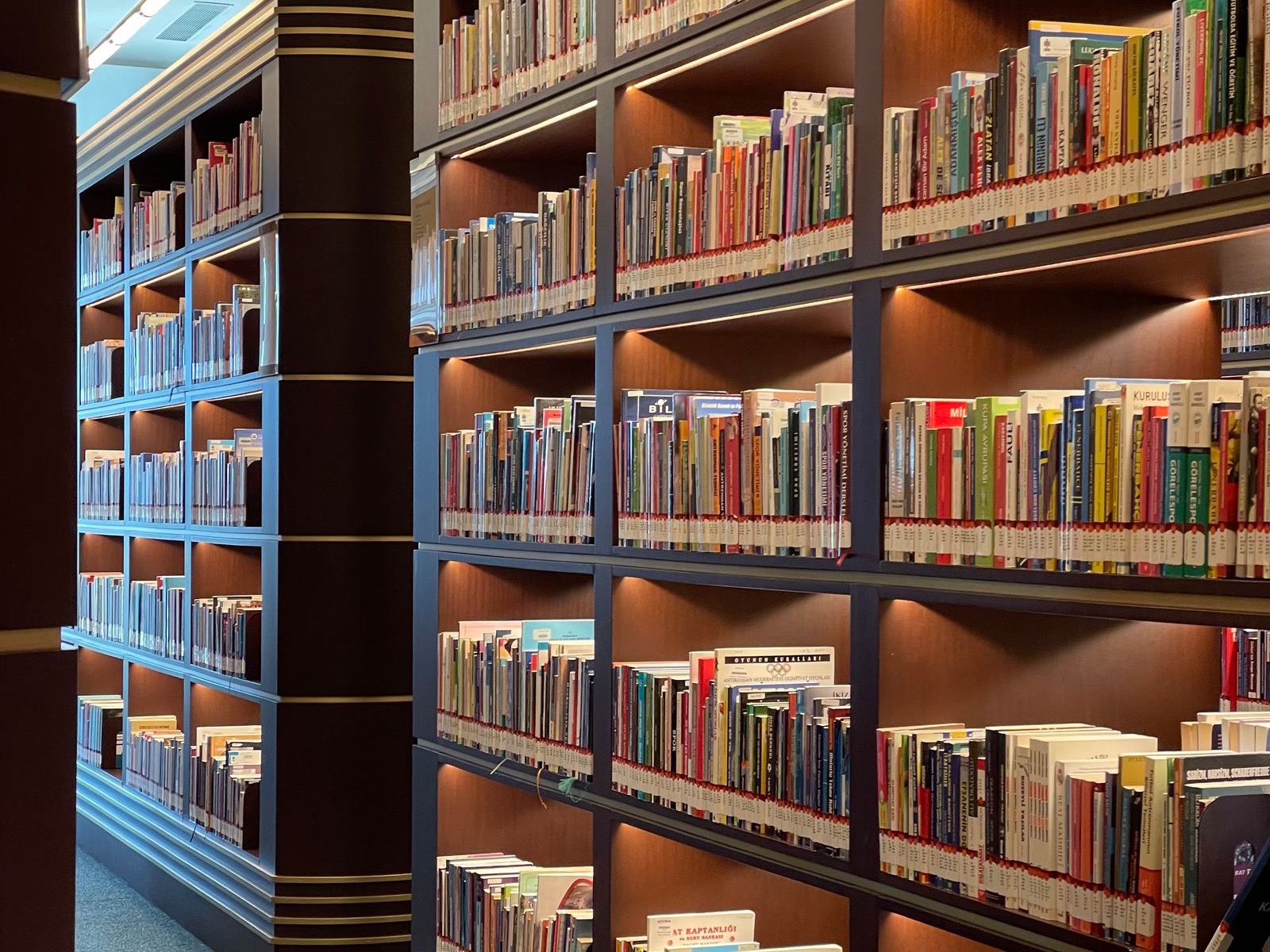 Rows of colorful books on shelves in a warm, modern library